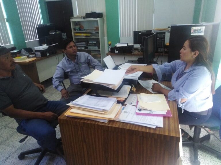 ASESORÍA TÉCNICA SOBRE LA LEY DE CONSEJOS DE DESARROLLO