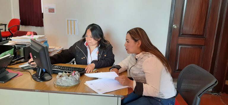 ASESORÍA TÉCNICA SOBRE PLATAFORMA COMUDE 2020, PASTORES SACATEPÉQUEZ