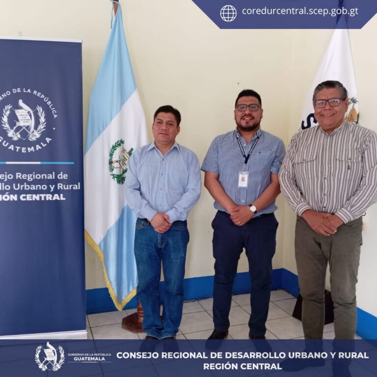 Elección de representantes Titulares y Suplentes de los Sectores No Gubernamentales