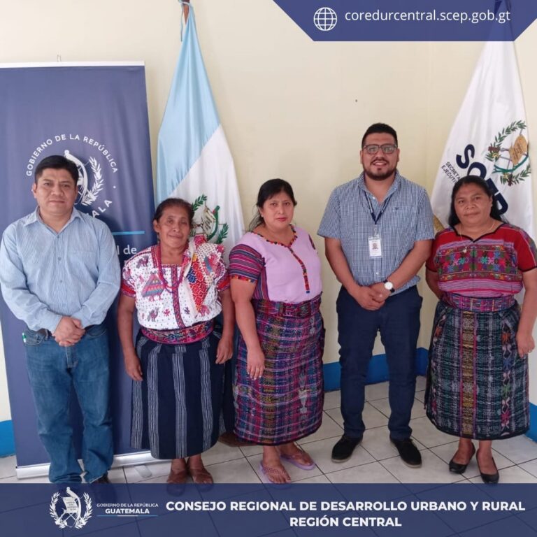 Elección de representantes Titulares y Suplentes de los Sectores No Gubernamentales