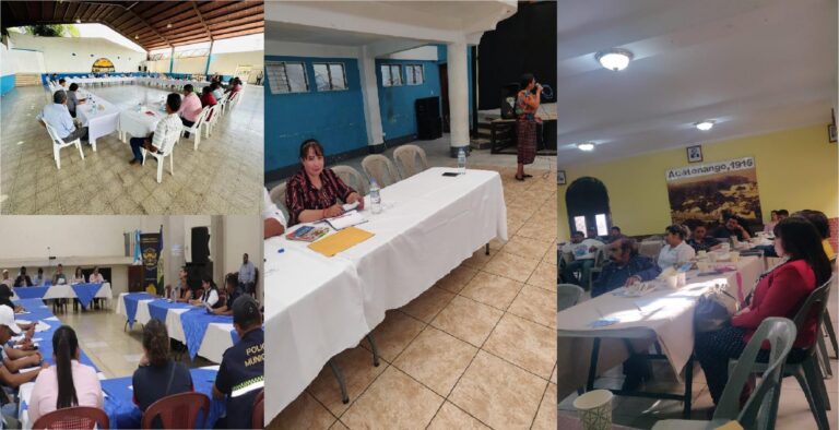 Participación en Reuniones de COMUDES de la Región