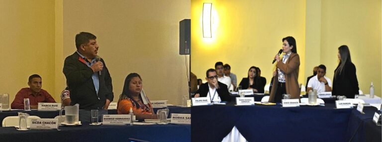 Proceso de Inducción para Representantes Titulares de Instituciones o Sectores No Gubernamentales