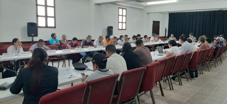 REUNIÓN COMUDE LA ANTIGUA GUATEMALA, SACATEPÉQUEZ
