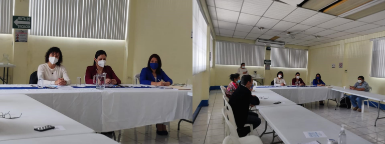 Reunión Comisión de Descentralización