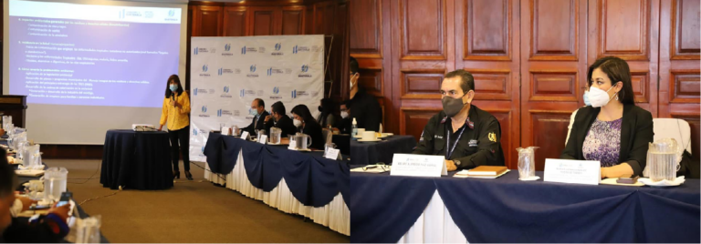 Reunión de Trabajo Comisión de Ambiente y Recursos Naturales del CONADUR