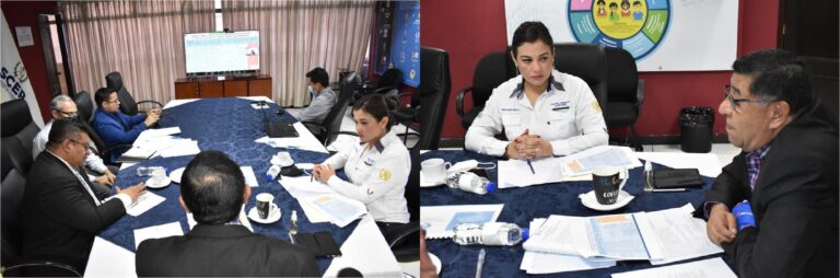 Reunión de Trabajo de la Comisión de Descentralización y Fortalecimiento del Sistema de Consejos de Desarrollo